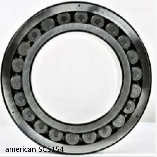 american SCS154 JOURNAL CYLINDRICAL ROLLER BEARING
