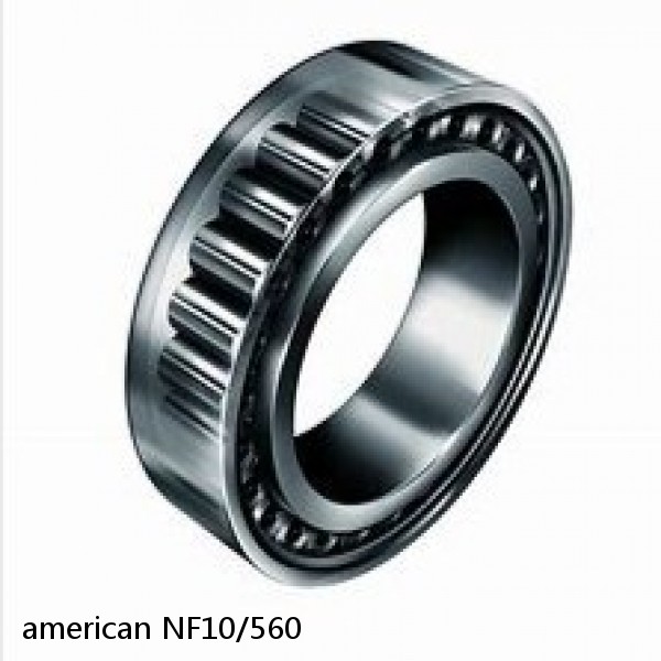 american NF10/560 SINGLE ROW CYLINDRICAL ROLLER BEARING