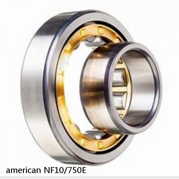 american NF10/750E SINGLE ROW CYLINDRICAL ROLLER BEARING