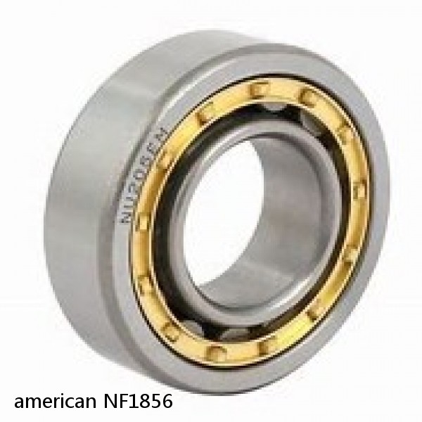 american NF1856 SINGLE ROW CYLINDRICAL ROLLER BEARING