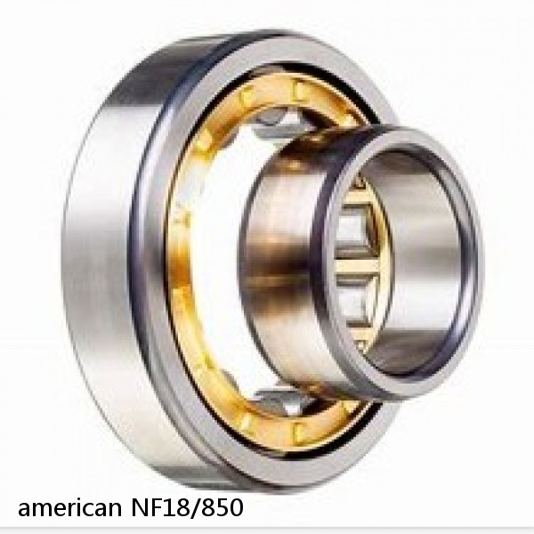 american NF18/850 SINGLE ROW CYLINDRICAL ROLLER BEARING