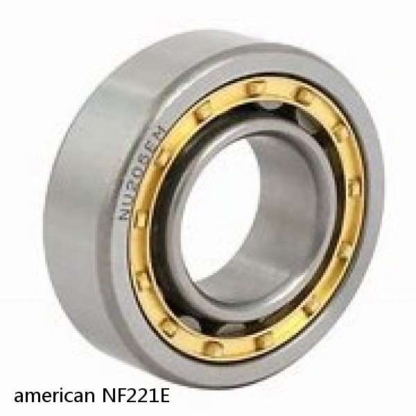 american NF221E SINGLE ROW CYLINDRICAL ROLLER BEARING