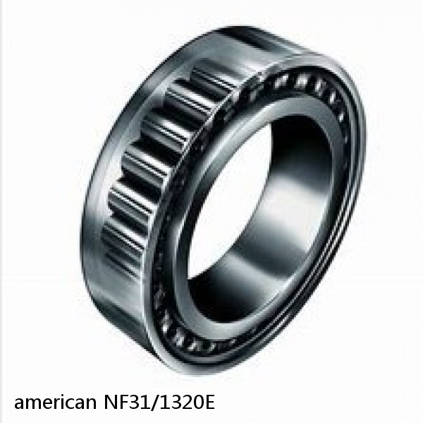 american NF31/1320E SINGLE ROW CYLINDRICAL ROLLER BEARING