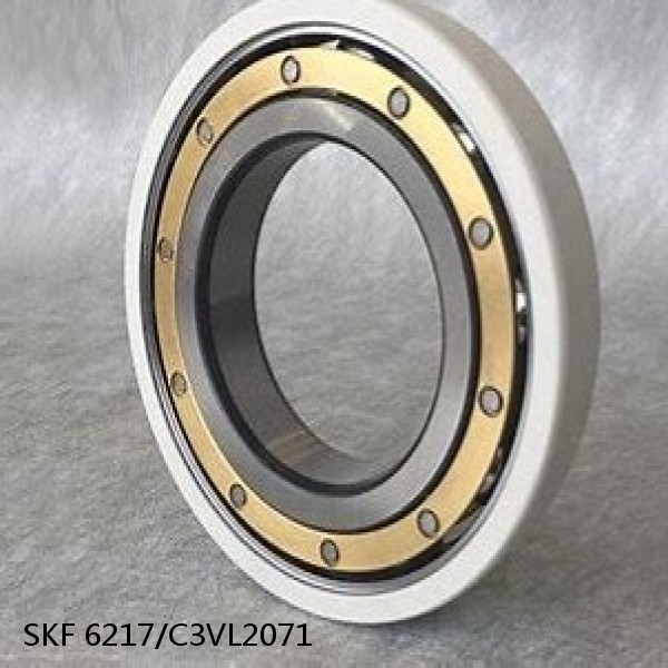 6217/C3VL2071 SKF Insulated Bearings